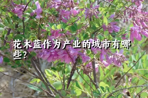 花木蓝作为产业的城市有哪些？