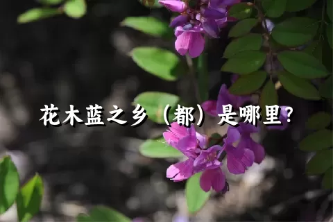 花木蓝之乡（都）是哪里？