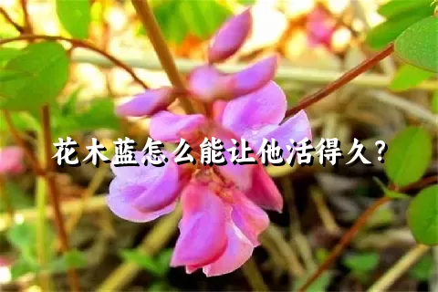 花木蓝怎么能让他活得久？