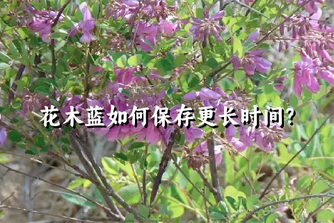 花木蓝如何保存更长时间？