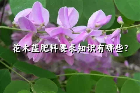 花木蓝肥料要求知识有哪些？