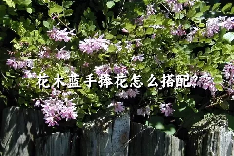 花木蓝手捧花怎么搭配？