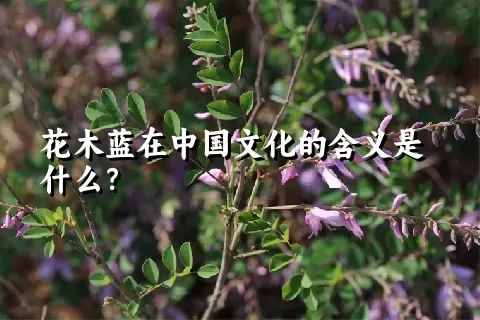 花木蓝在中国文化的含义是什么？