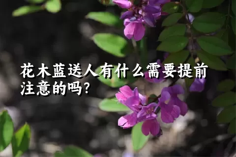 花木蓝送人有什么需要提前注意的吗？