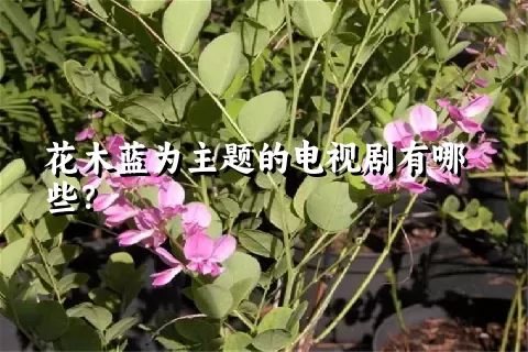 花木蓝为主题的电视剧有哪些？