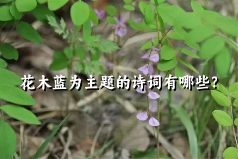 花木蓝为主题的诗词有哪些？