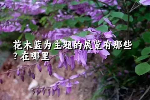 花木蓝为主题的展览有那些？在哪里