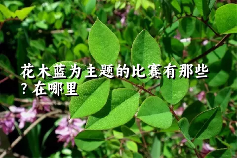 花木蓝为主题的比赛有那些？在哪里