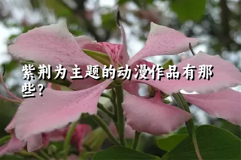 紫荆为主题的动漫作品有那些？