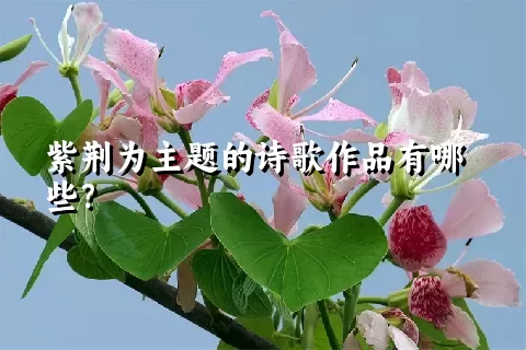 紫荆为主题的诗歌作品有哪些？