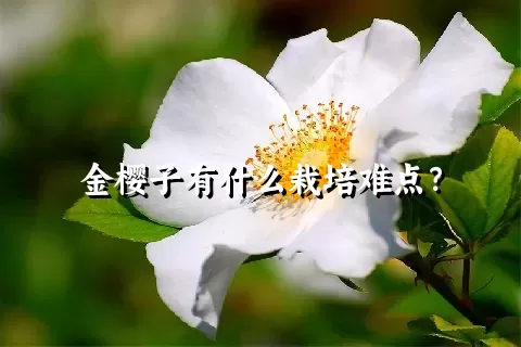 金樱子有什么栽培难点？