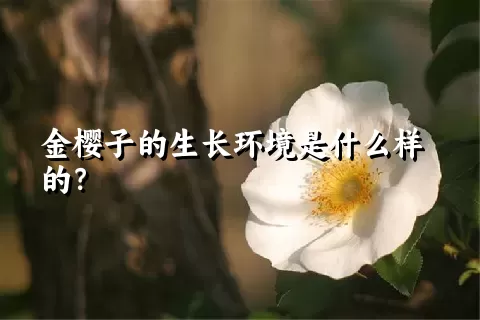 金樱子的生长环境是什么样的？