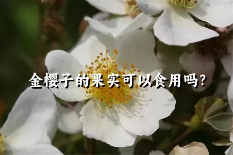 金樱子的果实可以食用吗？