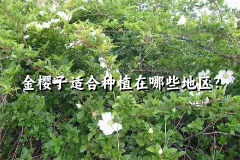 金樱子适合种植在哪些地区？