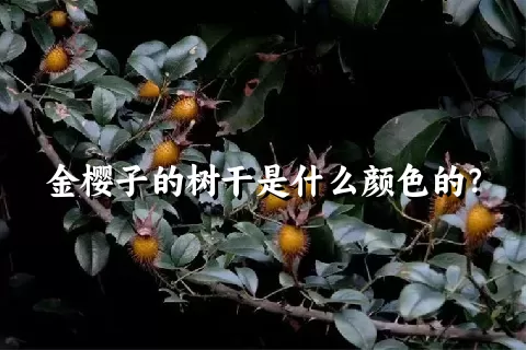 金樱子的树干是什么颜色的？