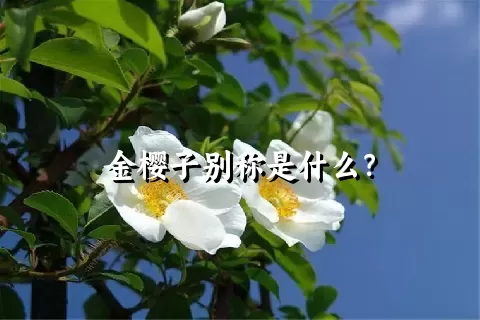 金樱子别称是什么？