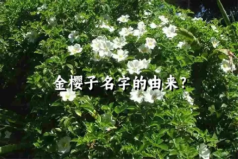 金樱子名字的由来？