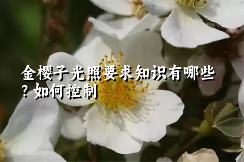 金樱子光照要求知识有哪些？如何控制