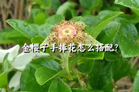 金樱子手捧花怎么搭配？