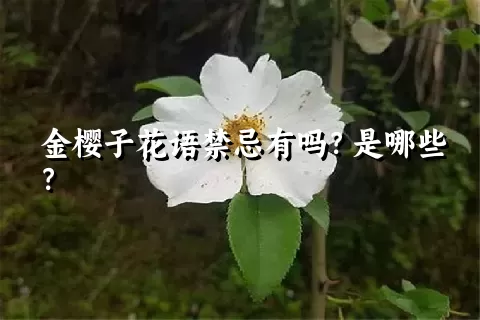 金樱子花语禁忌有吗？是哪些？