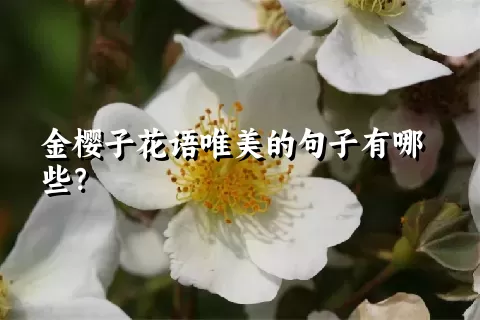 金樱子花语唯美的句子有哪些？