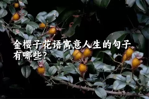 金樱子花语寓意人生的句子有哪些？