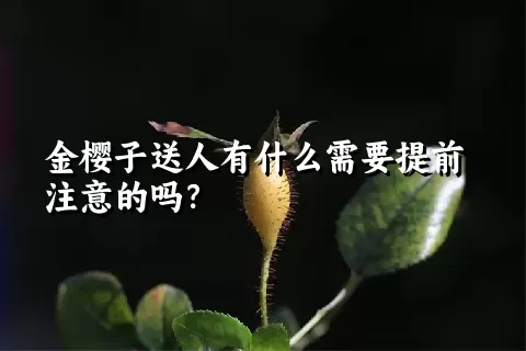 金樱子送人有什么需要提前注意的吗？