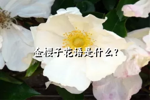 金樱子花语是什么？