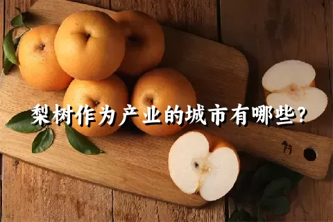 梨树作为产业的城市有哪些？