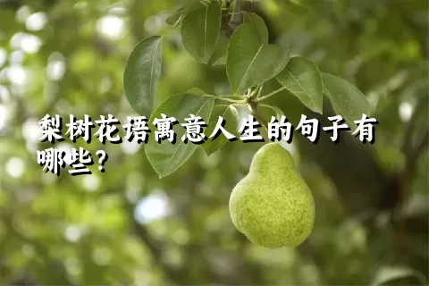 梨树花语寓意人生的句子有哪些？