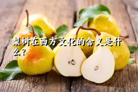 梨树在西方文化的含义是什么？