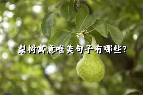 梨树寓意唯美句子有哪些？