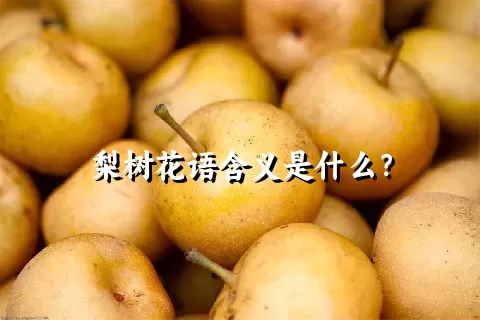 梨树花语含义是什么？