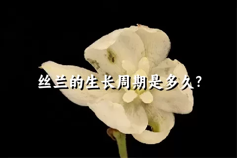 丝兰的生长周期是多久？