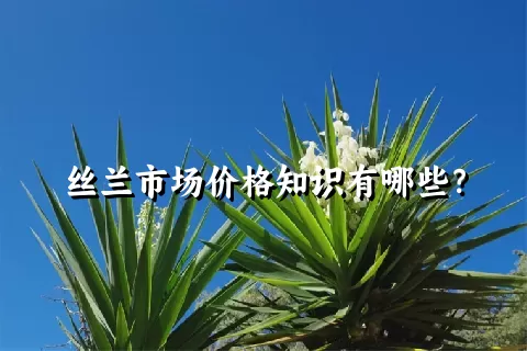 丝兰市场价格知识有哪些？