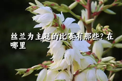 丝兰为主题的比赛有那些？在哪里