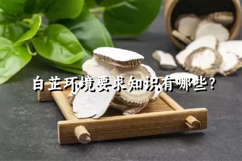 白芷环境要求知识有哪些？