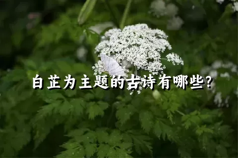 白芷为主题的古诗有哪些？