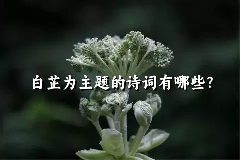 白芷为主题的诗词有哪些？