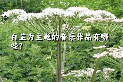 白芷为主题的音乐作品有哪些？