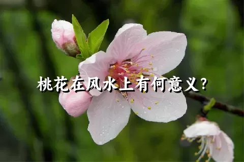 桃花在风水上有何意义？