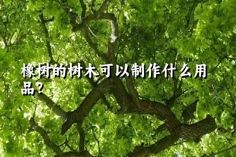 橡树的树木可以制作什么用品？