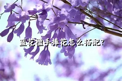 蓝花楹手捧花怎么搭配？