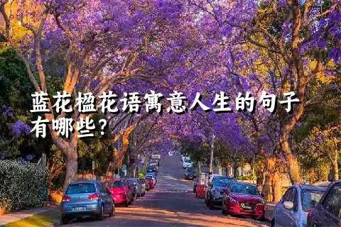 蓝花楹花语寓意人生的句子有哪些？