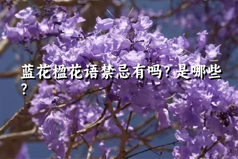 蓝花楹花语禁忌有吗？是哪些？