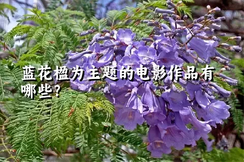 蓝花楹为主题的电影作品有哪些？