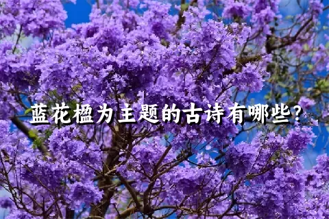 蓝花楹为主题的古诗有哪些？