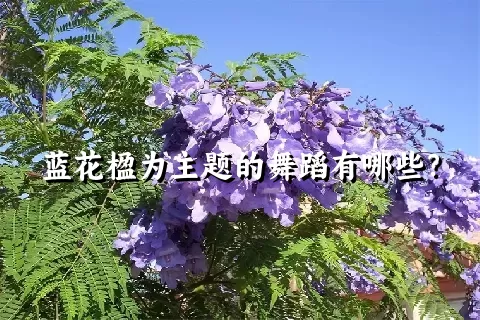 蓝花楹为主题的舞蹈有哪些？