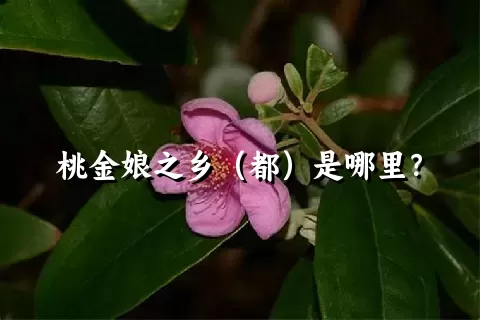 桃金娘之乡（都）是哪里？