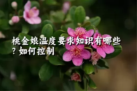 桃金娘温度要求知识有哪些？如何控制